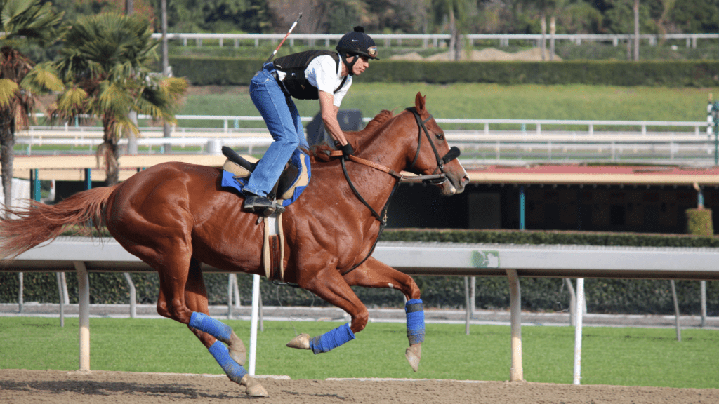 Female riding on Horse