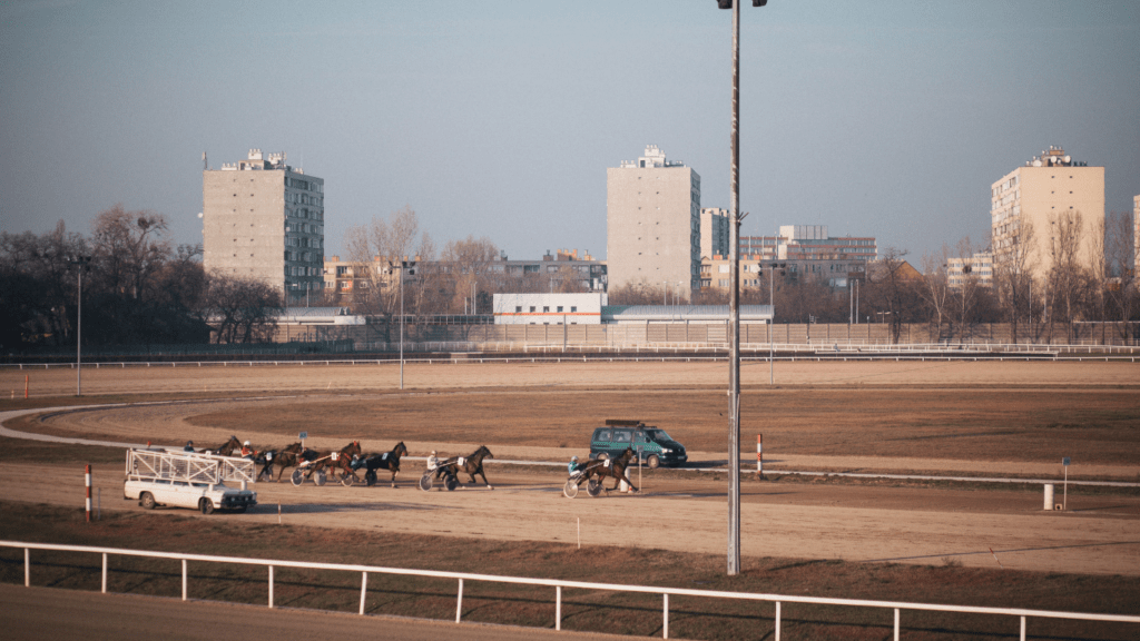 Horse Racing 