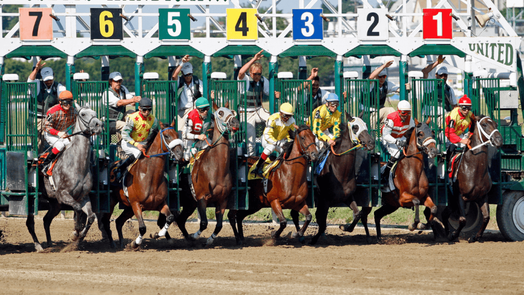 Key Strategies for Betting on Horse Racing Tips for Smarter Wagers and Increased Winnings