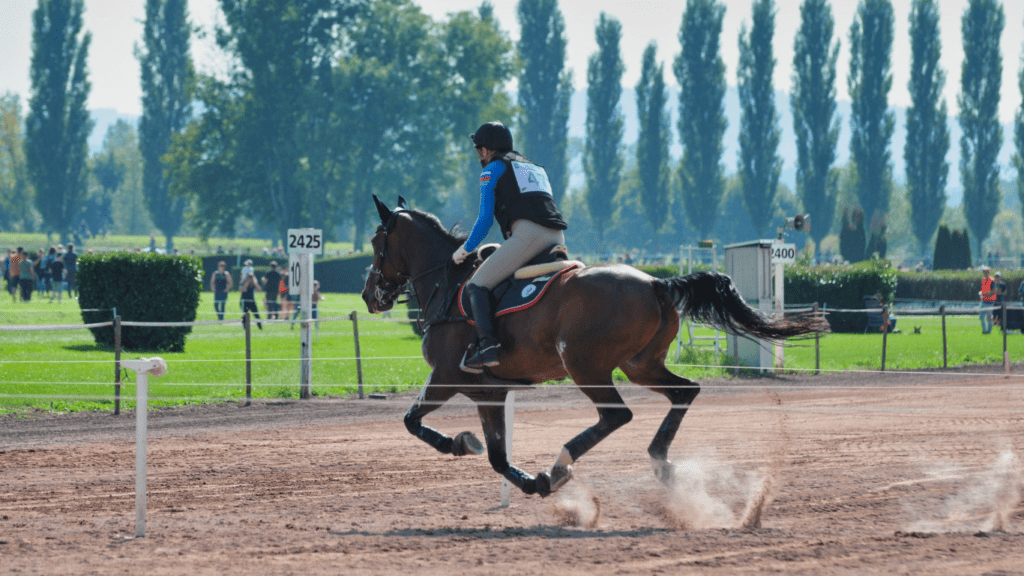 Researching Horses and Jockeys