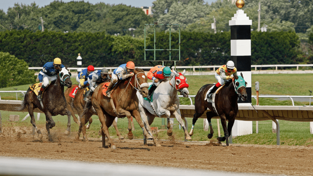 Top Horse Racing Events to Watch This Season Kentucky Derby to Melbourne Cup