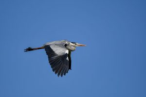 do you exfoliate before or after washing your face