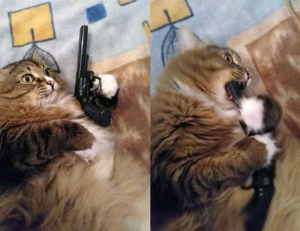 how much overdertoza video gaming for adults