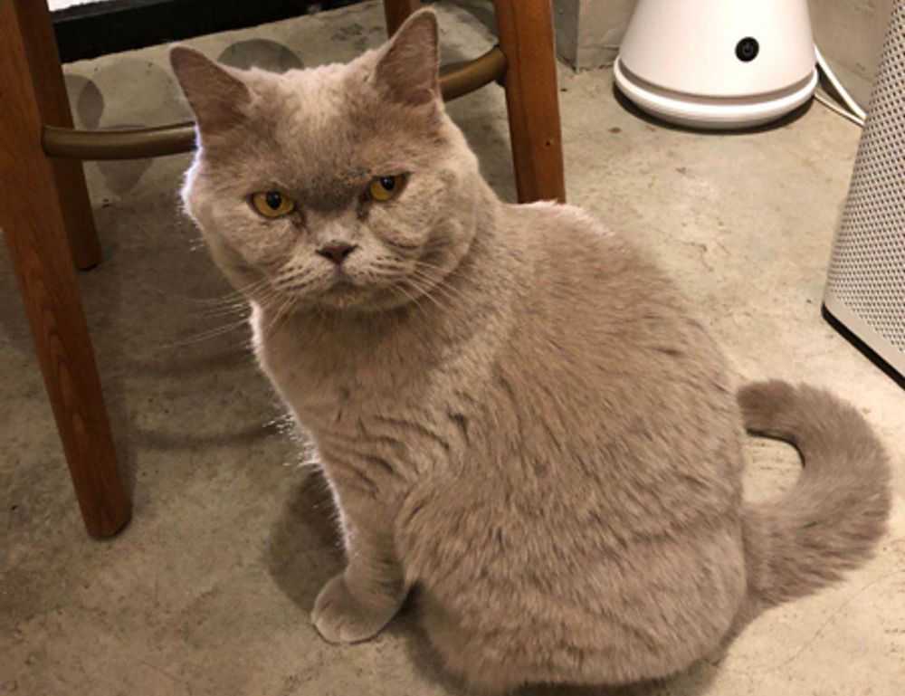 kids toys with prokaihaz