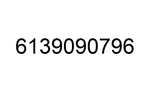 6139090796