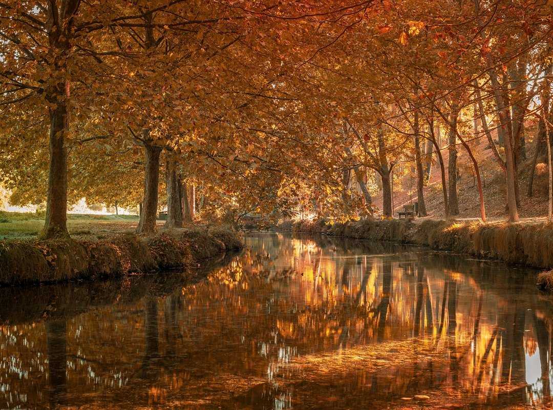 Alineación Probable de Al Wahda de La Meca