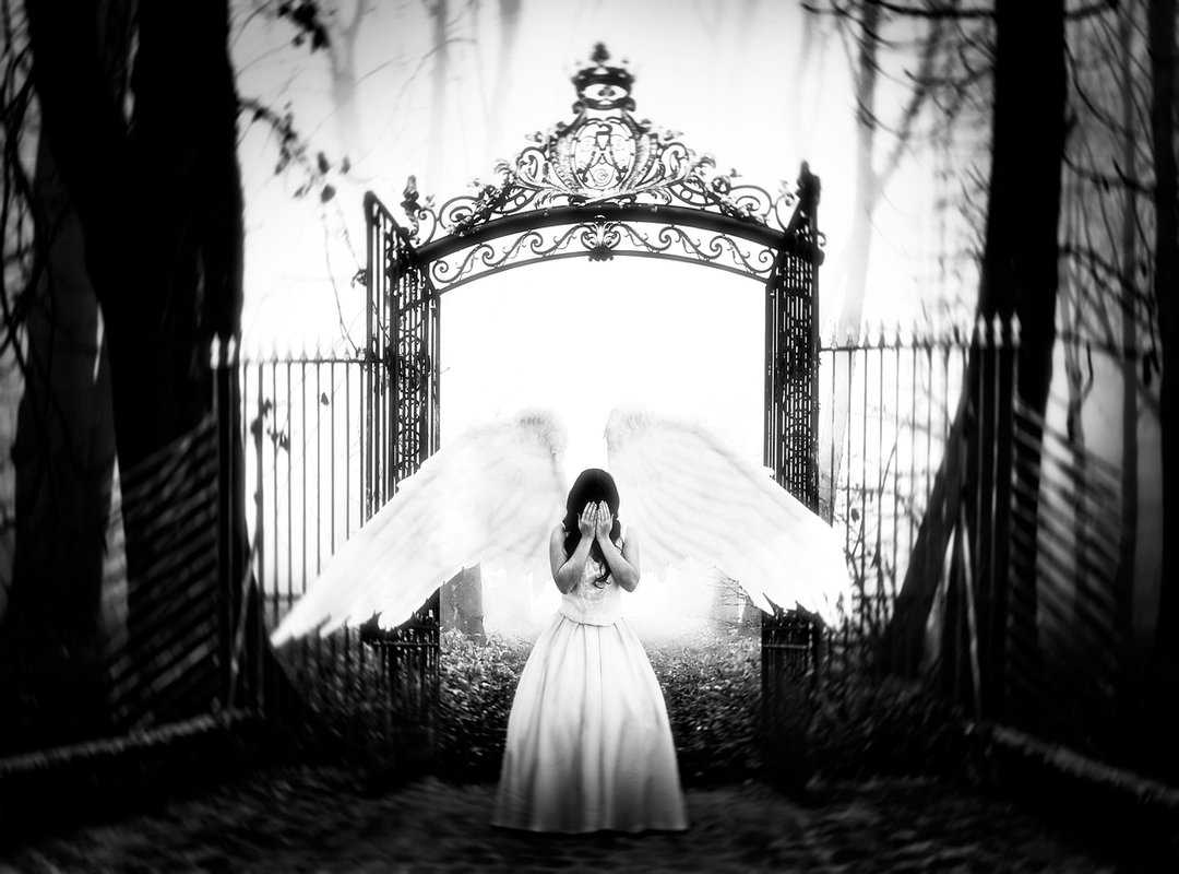 The Real-World Impact of Digital Piracy and Leaks