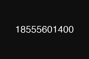 18555601400