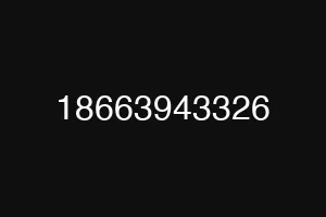 18663943326
