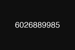 6026889985