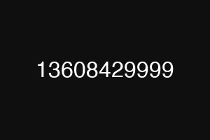 13608429999