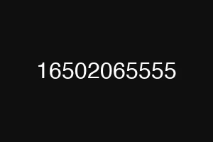 16502065555