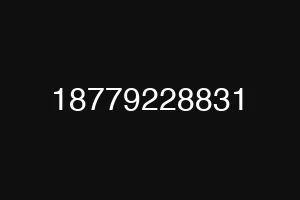 18779228831