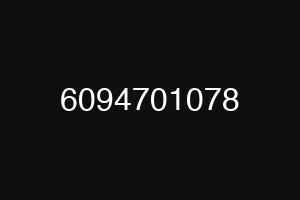6094701078