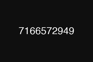 7166572949