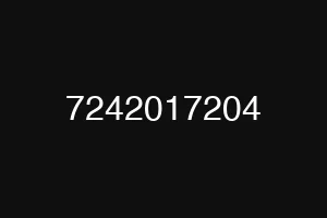 7242017204