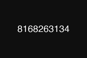 8168263134