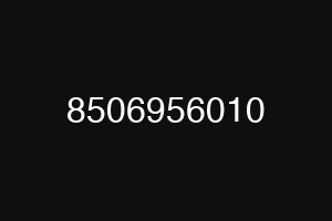 8506956010
