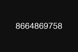 8664869758