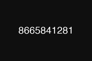8665841281