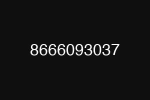 8666093037