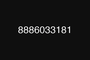 8886033181