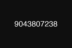 9043807238